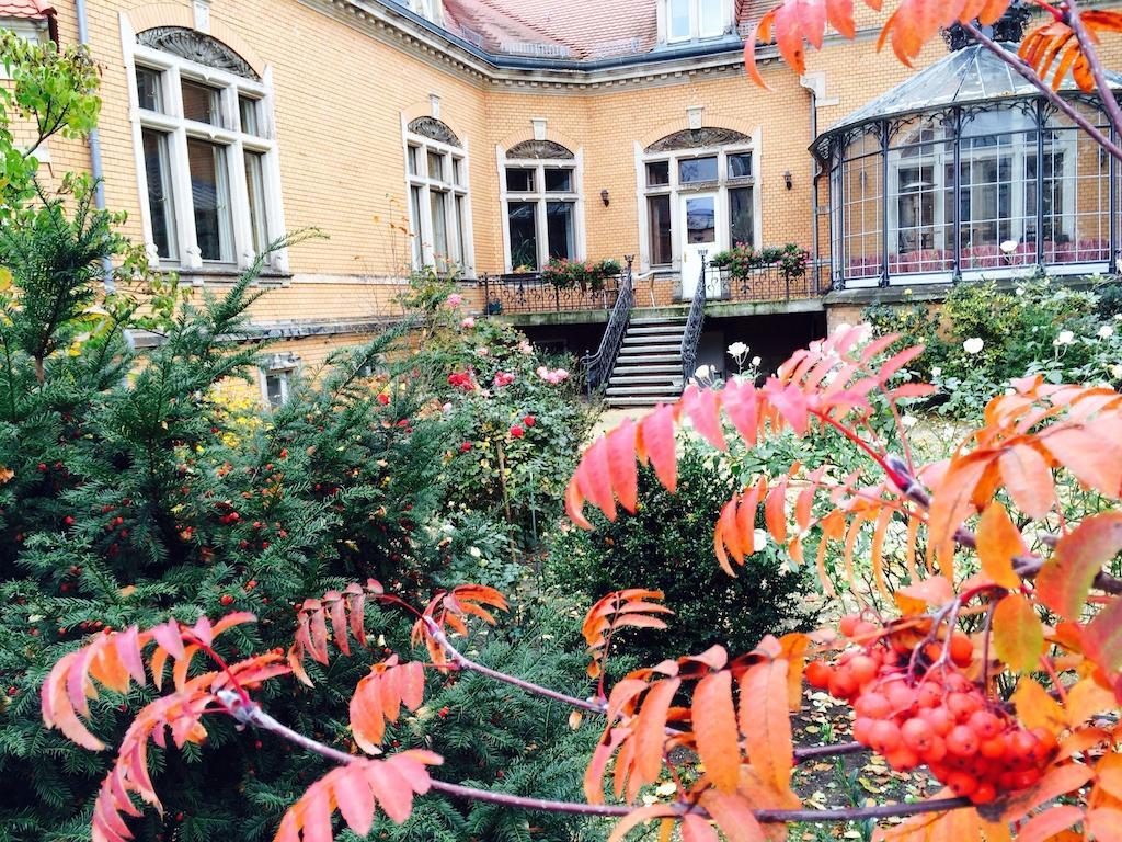 Pension Sanssouci Potsdam Rum bild